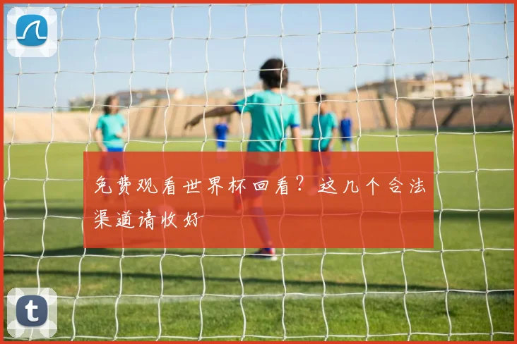 免费观看世界杯回看？这几个合法渠道请收好