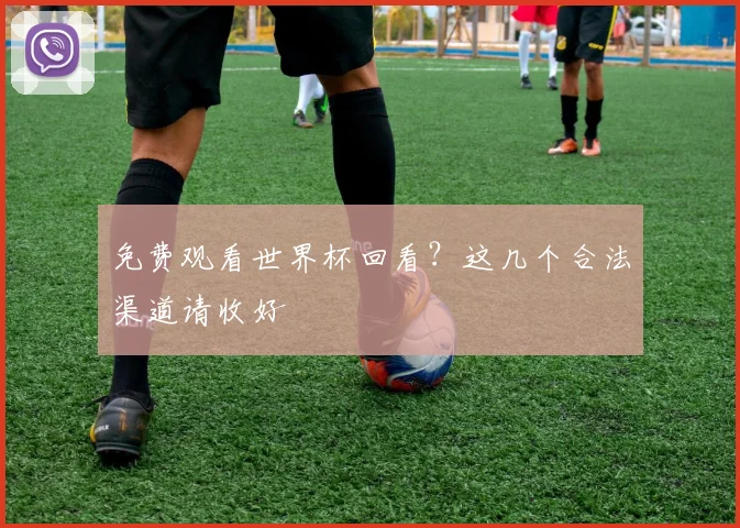 免费观看世界杯回看？这几个合法渠道请收好